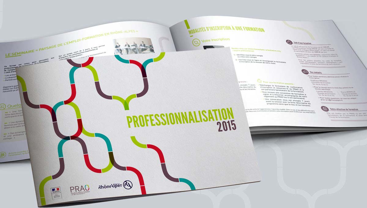 Agence Comete création Guide de la professionnalisation 2015 : Catalogue / Rapport / Guide pour PRAO - Identité graphique