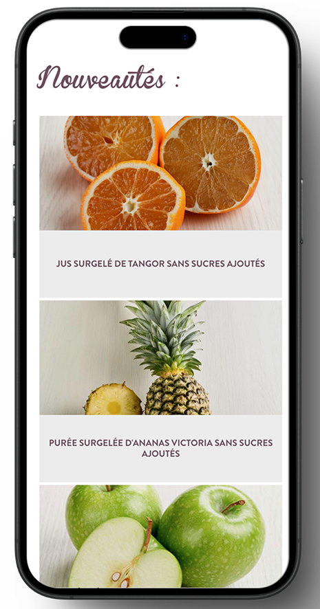 site-wordpress-responsive