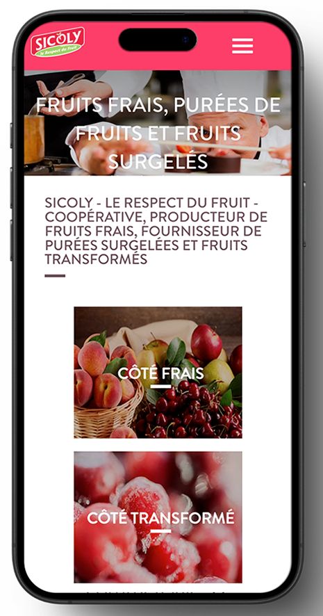 site-wordpress-responsive