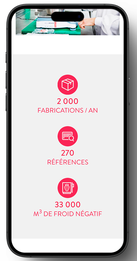 site-wordpress-responsive