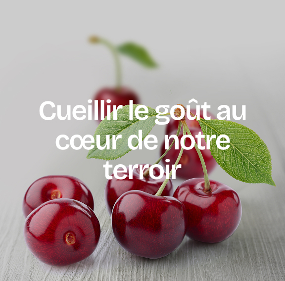 support-com-agence