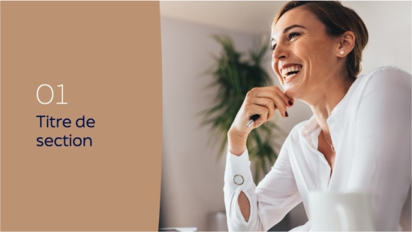 identite-template-powerpoint-05-ndba