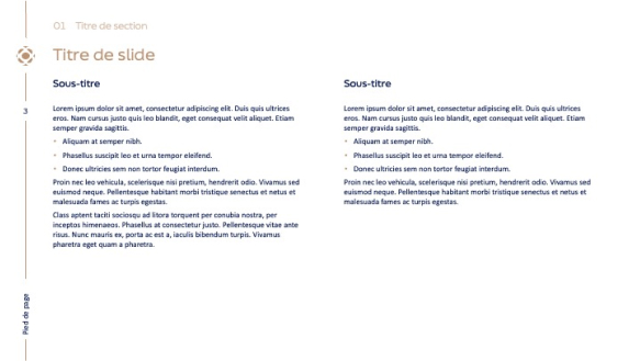 identite-template-powerpoint-07-ndba