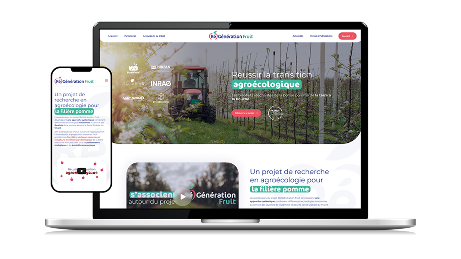 site-internet-projet-responsive-regeneration-fruit