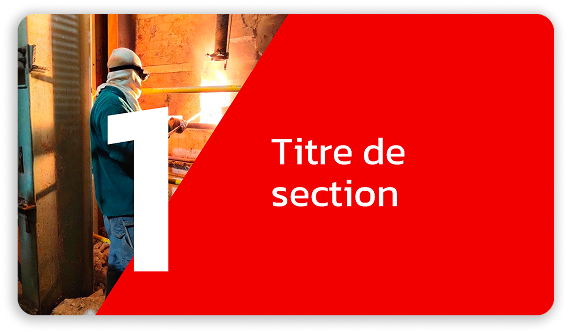 slide-powerpoint-IRF-03