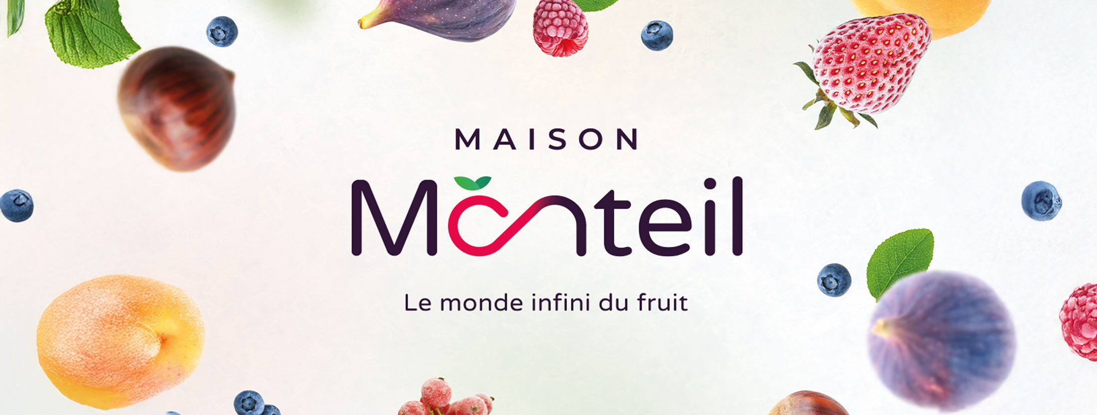 maison-monteil-identite-marque-ref