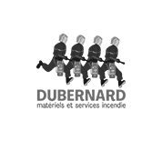 service-btob-dubernard-logo-expertise