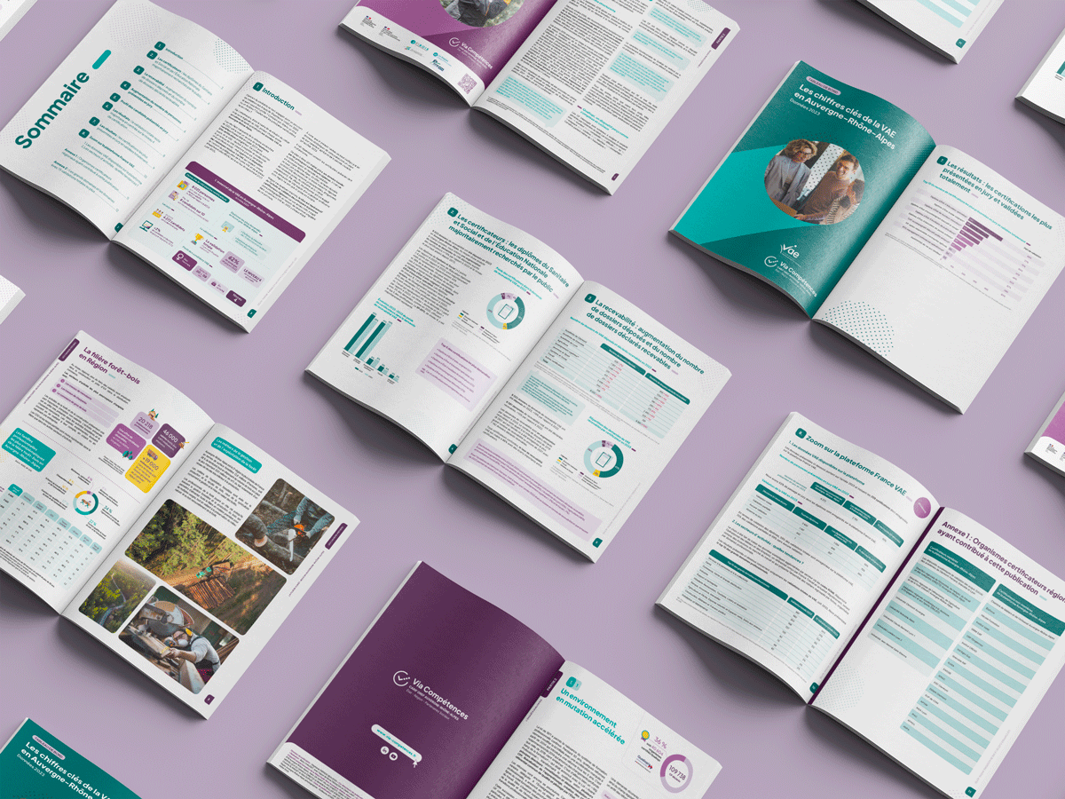via-competences-cahiers-thematique-sur-emplois-formations-et-orientation